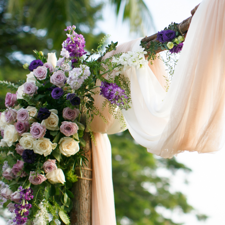 Dusty mauve wedding arbor with roses and cream fabric swash.