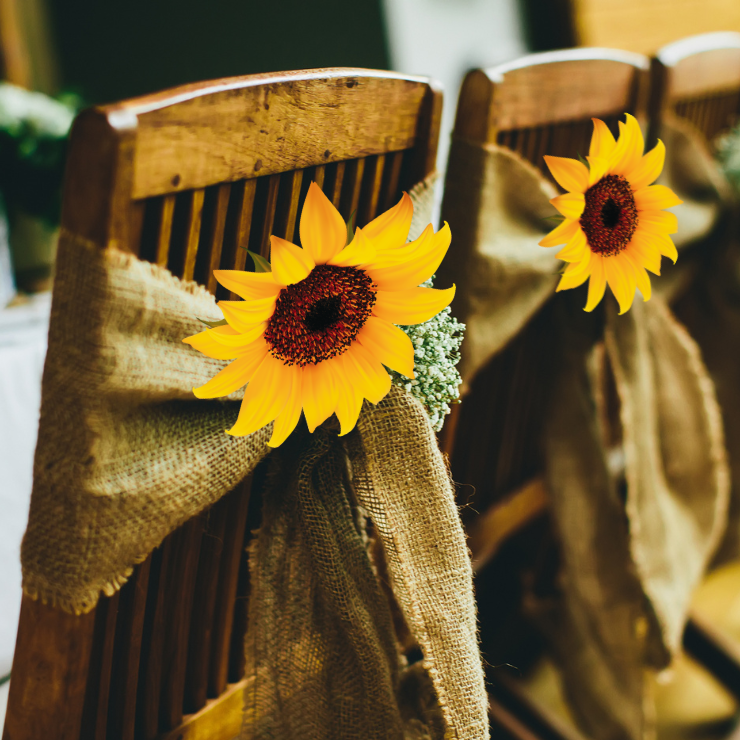 Bride to bee sunflower bridal shower rustic chair decorations with hessian sashes and sunflowers on the back of wooden chairs.