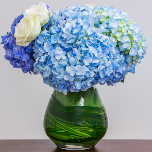 blue hydrangea flowers and white roses in green glass vase