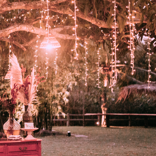 Coquette bridal shower theme inspiration image of dainty fairy lights hanging from a tree with boho pampas floral decorations in a glass vase with vintage cake plate and hanging light.